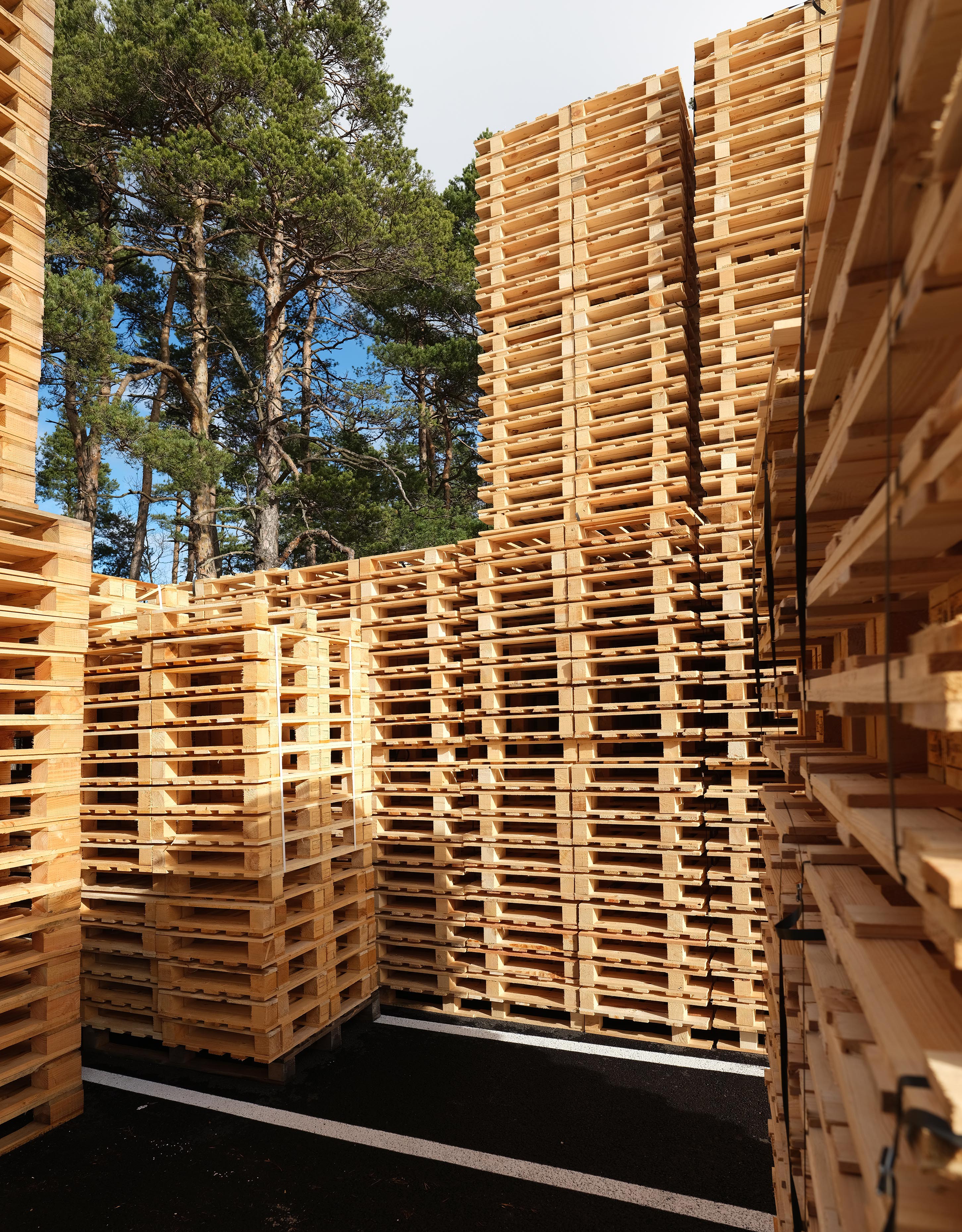 Économe en bois – EUROFACTO